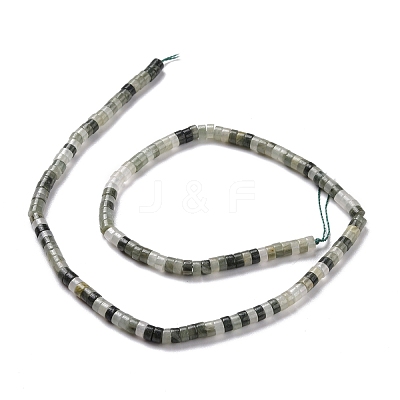 Natural Green Line Jaspe Beads Strands G-P468-12-1