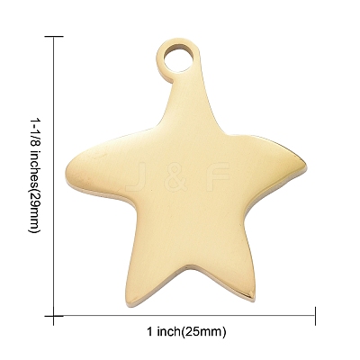304 Stainless Steel Pendants STAS-I140-13G-1