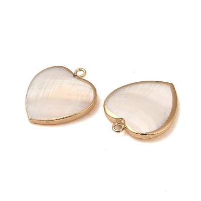Natural Freshwater Shell Pendants SHEL-M021-14G-1