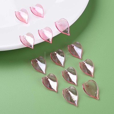 Transparent Acrylic Beads MACR-S373-103-C05-1