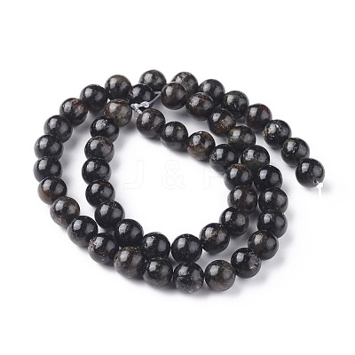 Natural Biotite Beads Strands G-L528-06C-1