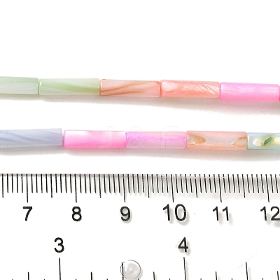 Rainbow Color Dyed Natural Freshwater Shell Beads Strands X1-SHEL-G018-02B-1