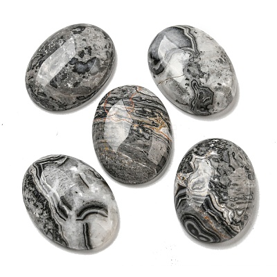 Natural Map Stone Cabochons G-C115-01B-48-1