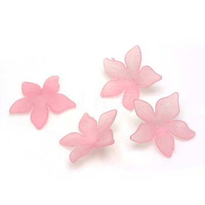 Transparent Acrylic Beads FACR-Q009-14-1