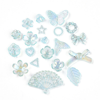 Transparent Acrylic Beads OACR-N137-73D-1