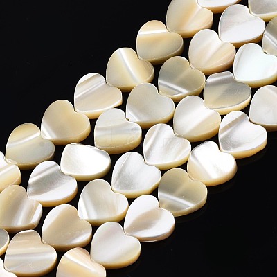 Natural Trochid Shell/Trochus Shell Bead Strands SSHEL-N034-92B-01-1