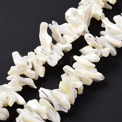 Natural Trochid Shell Beads Strands SSHEL-G023-05B-1
