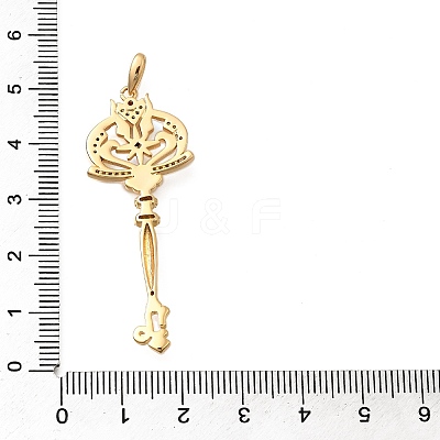 Brass Micro Pave Cubic Zirconia Big Pendants X1-KK-B147-04G-06-1