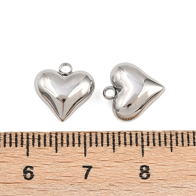 304 Stainless Steel Charms STAS-Z166-10P-1