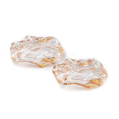 Transparent Acrylic Pendants TACR-D013-03-1