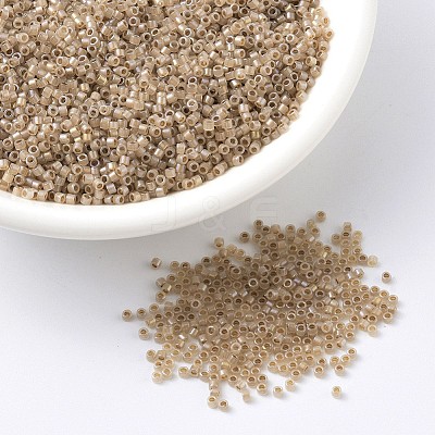 MIYUKI Delica Beads SEED-MY11-DB1731-1