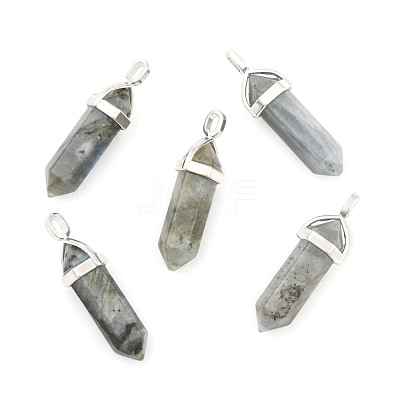 Natural Labradorite Double Terminated Pointed Pendants G-F295-05N-1