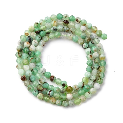 Natural Chrysoprase Beads Strands LS-G-RM2025-A01-3mm-1