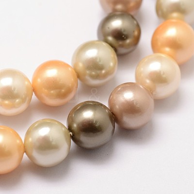 Shell Pearl Bead Strands BSHE-L017-12-1