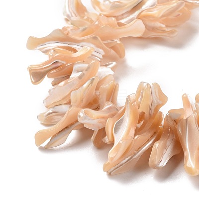 Natural Trochid Shell Beads Strands SSHEL-G023-05C-1