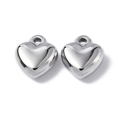Non-Tarnish 304 Stainless Steel Charms STAS-C066-16P-1