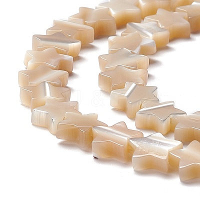 Natural Trochid Shell/Trochus Shell Beads SSHEL-O001-25B-01-1