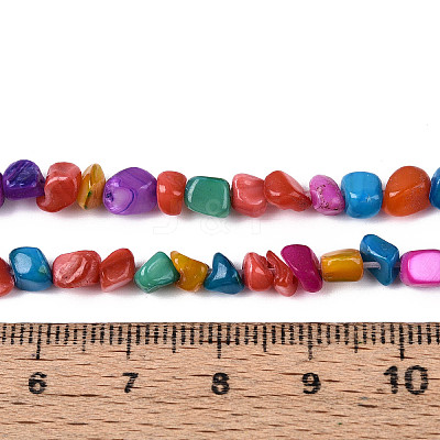 Natural Freshwater Shell Beads Strands SHEL-N038-06B-1