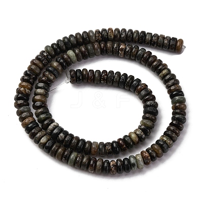 Natural Biotite Jade Beads Strands G-L624-H09-6x2mm-1
