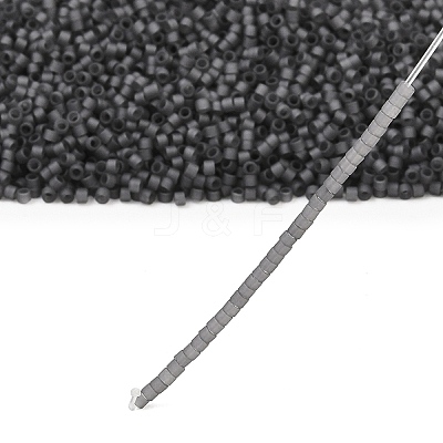 MIYUKI Delica Beads X-SEED-J020-DB2406-1