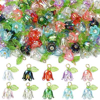 Transparent Acrylic Pendants PALLOY-YW00081-01-1