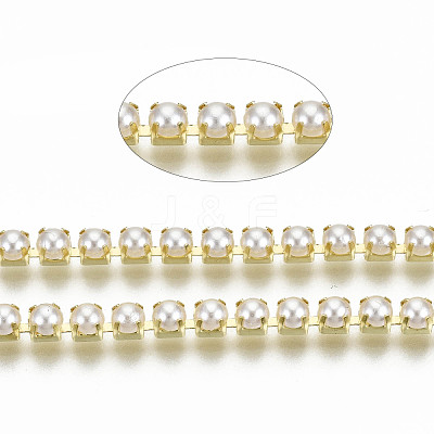 Brass Claw Chains CHC-Q012-SS12-01G-1