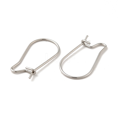 Tarnish Resistant 316 Surgical Stainless Steel Hoop Earrings Findings Kidney Ear Wires LS-STAS-E009-6-1