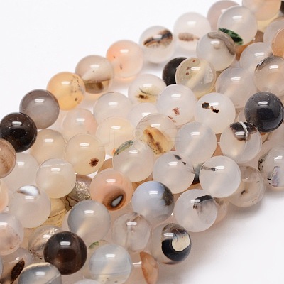 Natural Dendritic Agate Round Beads Strands X-G-E321C-8mm-01-1
