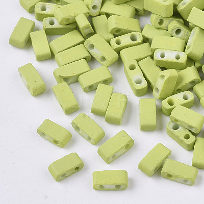 2-Hole Glass Seed Beads SEED-S023-31B-06-1