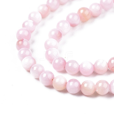 Natural Freshwater Shell Beads Strands BSHE-T009A-01C-1