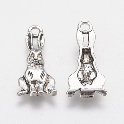 Tibetan Style Alloy Pendants LS-PALLOY-A15373-AS-NF-1
