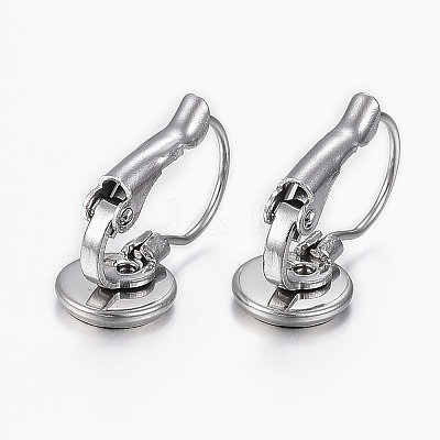 Tarnish Resistant 304 Stainless Steel Leverback Earring Findings LS-STAS-H423-05P-1