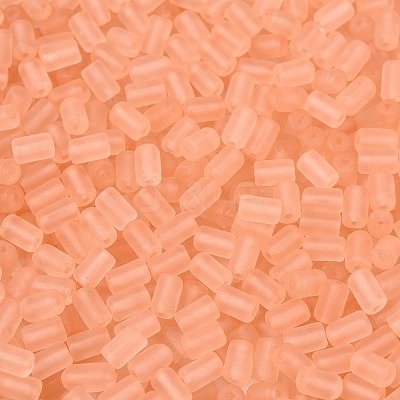 FGB Frosted Transparent Glass Seed Beads SEED-N013-05A-04-1