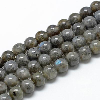 Natural Labradorite Beads Strands G-R446-10mm-14-1