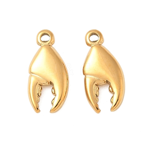 304 Stainless Steel Charms STAS-K306-14G-1