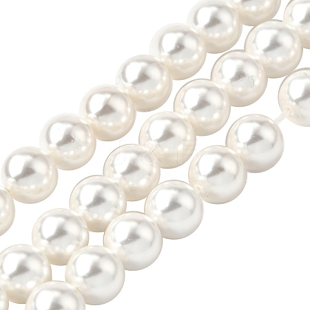 Rainbow Plated Shell Pearl Bead Strands BSHE-L025-02-8mm-1