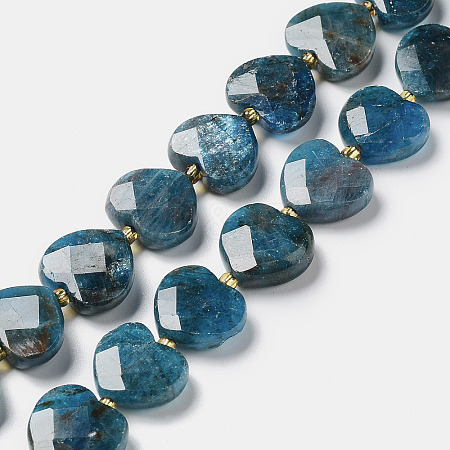 Natural Apatite Beads Strands G-B044-B06-01-1