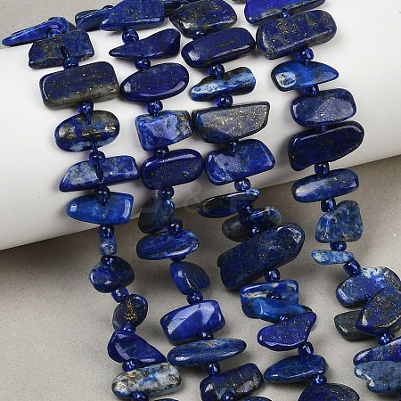 Natural Lapis Lazuli Beads Strands G-L657-E01-01-1