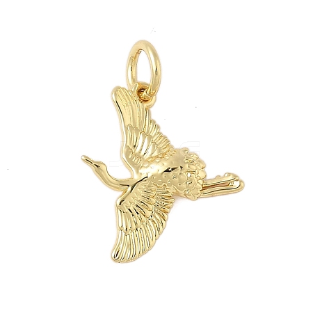 Brass Pendants KK-L245-09G-1