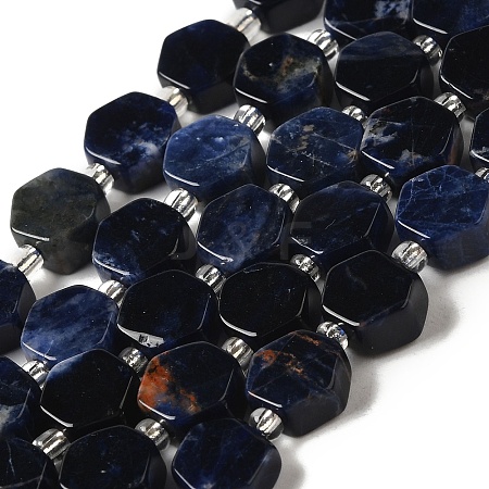 Natural Sodalite Beads Strands G-P534-A11-01-1