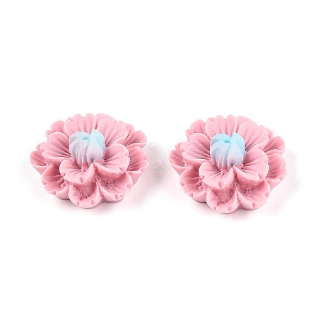 Resin Decoden Cabochons CRES-T025-04E-1