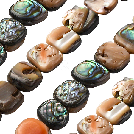 1 Strand Natural Paua Shell Beads Strands BSHE-PA0001-07-1