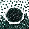 FGB Transparent Glass Seed Beads SEED-N013-01C-14-3