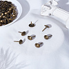 60Pcs Iron Round Head Nails CABI-LP0001-02AB-1