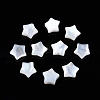 Natural White Shell Beads SSHEL-N032-54A-2