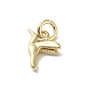 Brass Charms KK-H493-01G-01-2