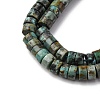 Natural African Turquoise(Jasper) Beads Strands G-Z006-C40-4