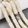 Natural White African Opal Beads Strands G-Q616-09N-1