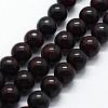 Natural Brecciated Jasper Beads Strands G-I199-31-10mm-1