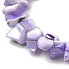 Natural Trochid Shell/Trochus Shell Beads Strands SHEL-B003-02F-3